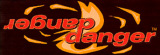 Danger Danger Logo (Link to Official Website)