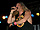 Live in Hartford #59