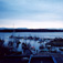 Good Morning Nanaimo #5