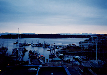 Good Morning Nanaimo #5