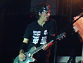 Farmingville, NY Pic #3