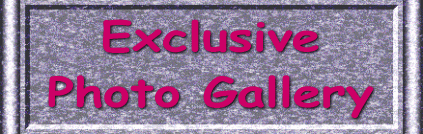 To Exclusive Photo Gallery
