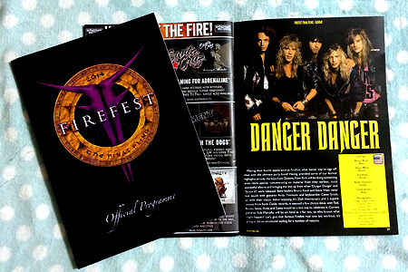 "Firefest - The Final Filing" Program