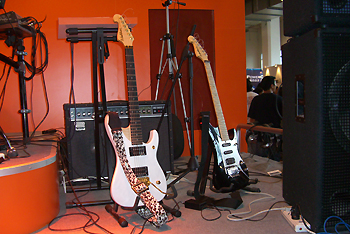 Rob at Palm Expo 2007 #19, June 2 - Rob's New Washburn Guitars