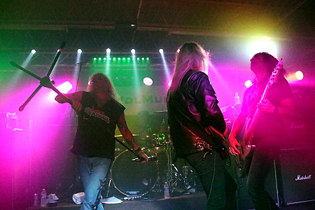 Danger Danger at Rock N' Skull 2014 in Pekin, IL #13
