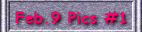 To "Photos on Feb. 9 #1"