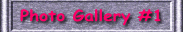 To "Photo Garalley #1"