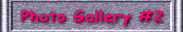 To "Photo Garalley #2"