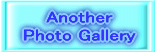 To "Another Photo Gallery"